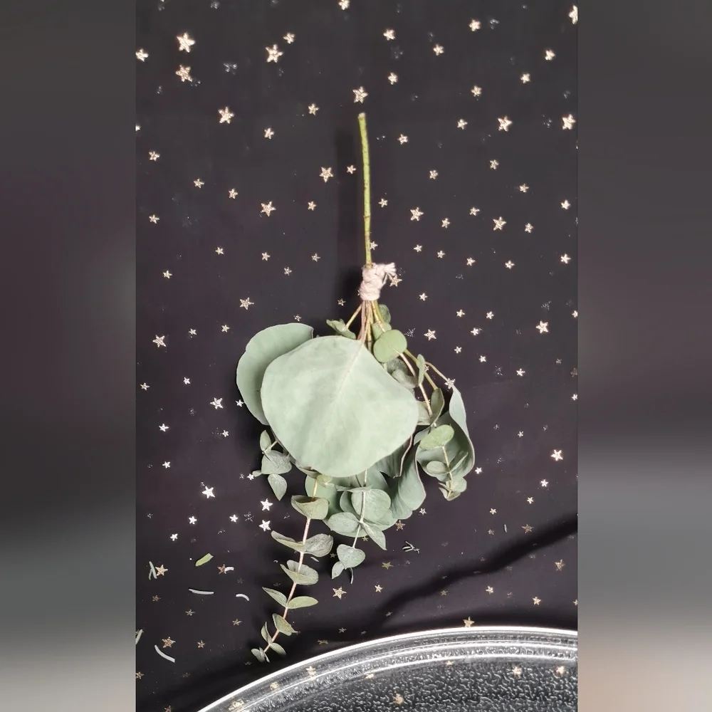 Elegant Baby Eucalyptus Broom